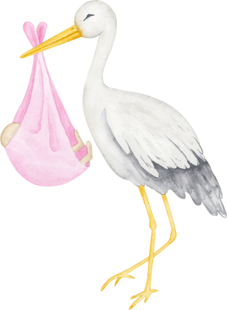 Stork with baby girl watercolor illustration