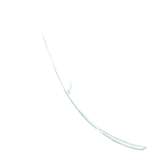 Feather Png Design Element